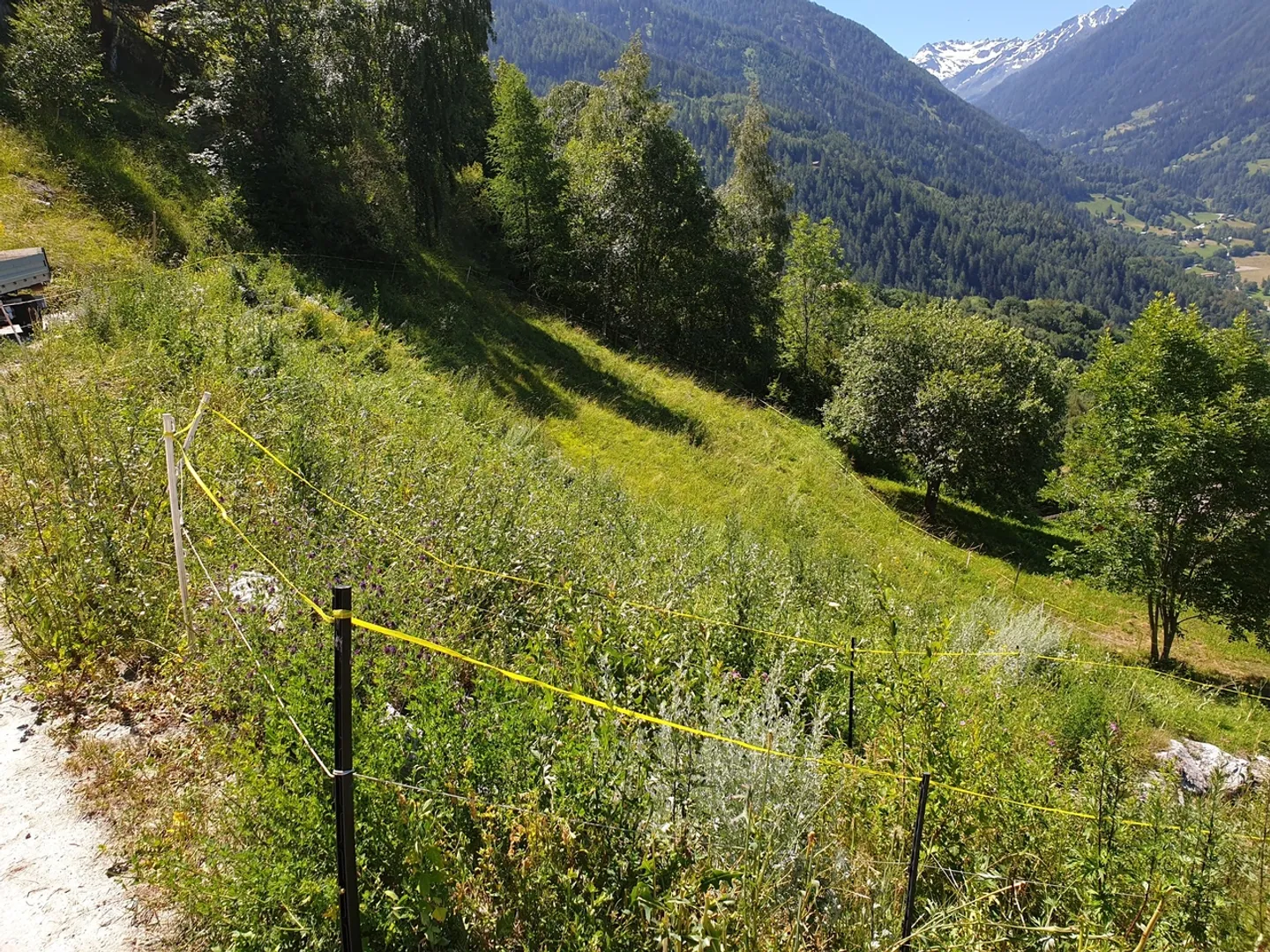 Terreno edificabile in affitto - Foto 4 di 5
