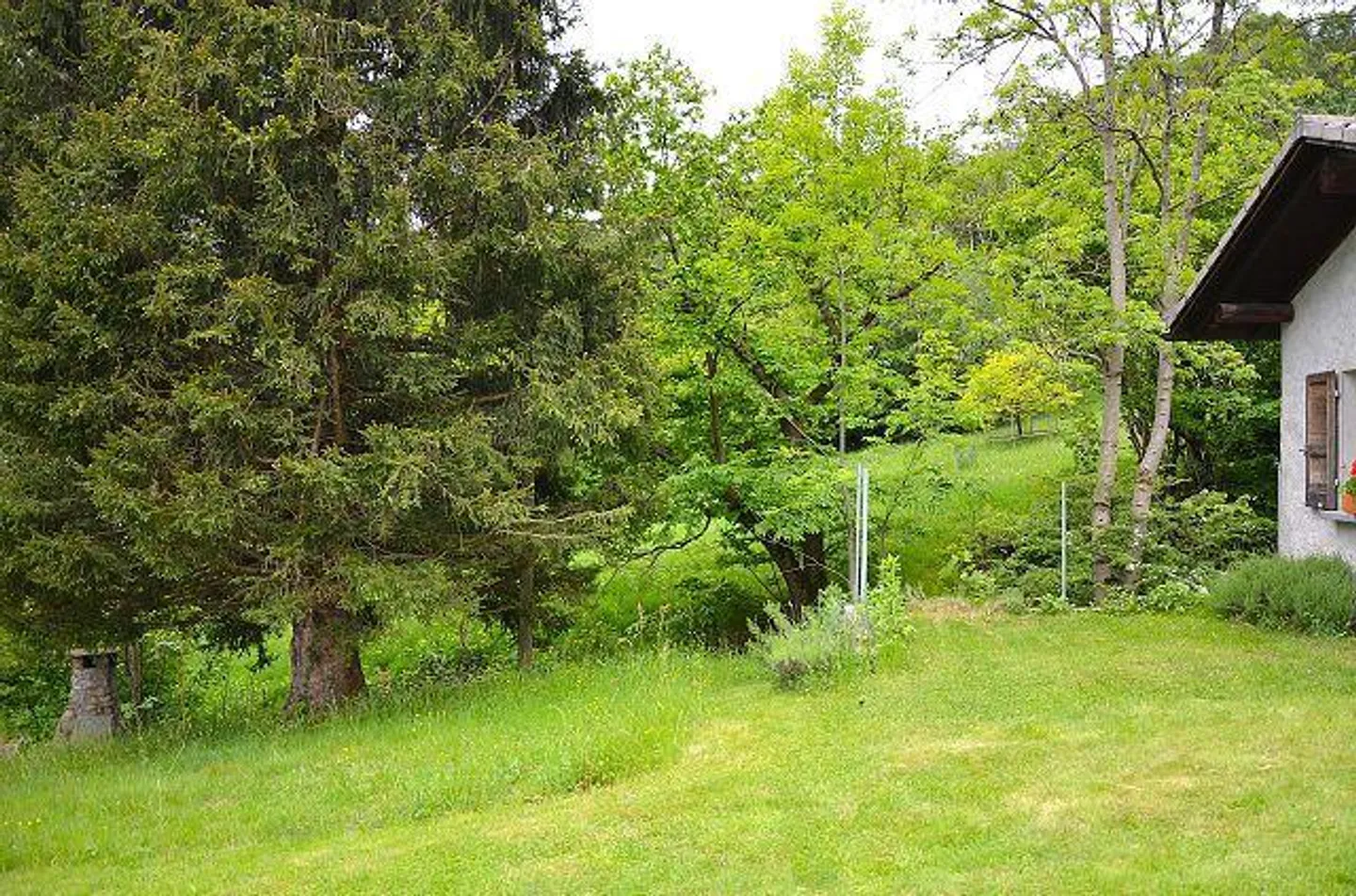 piccola casa vacanze vicino al ruscello in una posizione molto tranquilla e soleggiata con vista ... - Foto 13 di 26