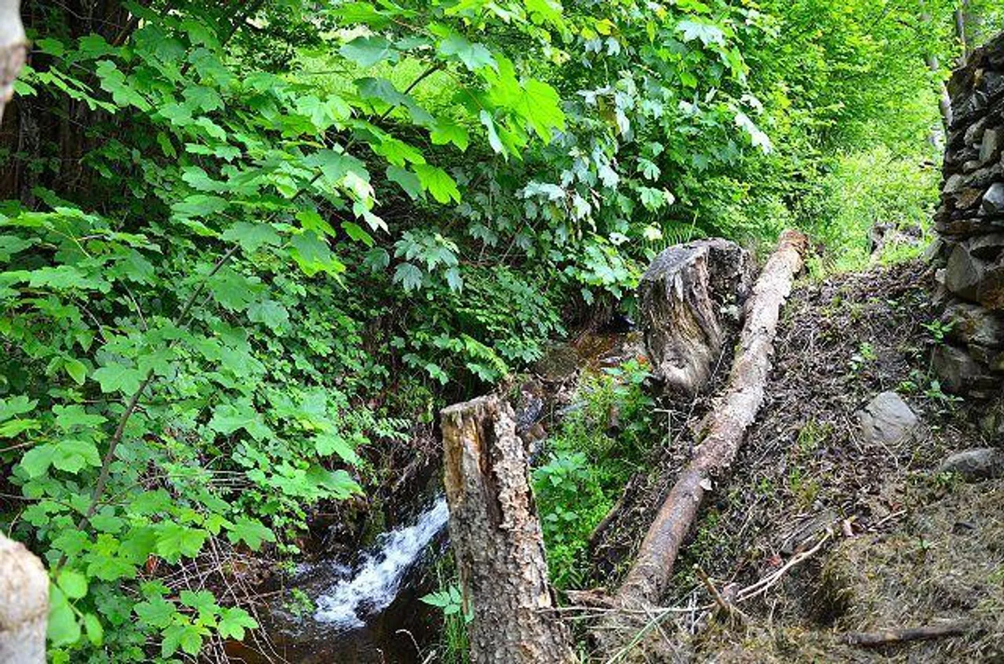 piccola casa vacanze vicino al ruscello in una posizione molto tranquilla e soleggiata con vista ... - Foto 17 di 26