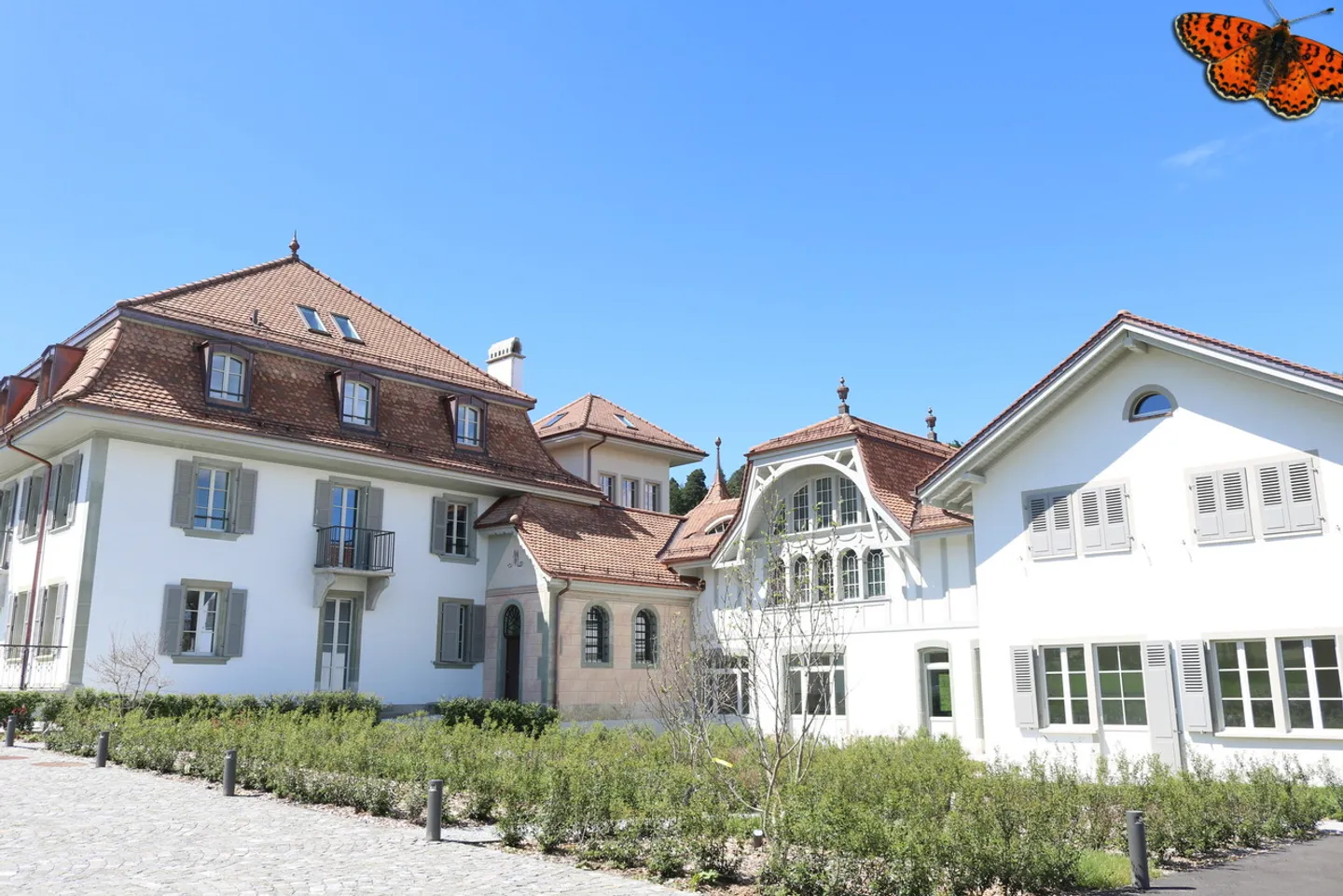 Loft 1 room - Photo 5 of 13