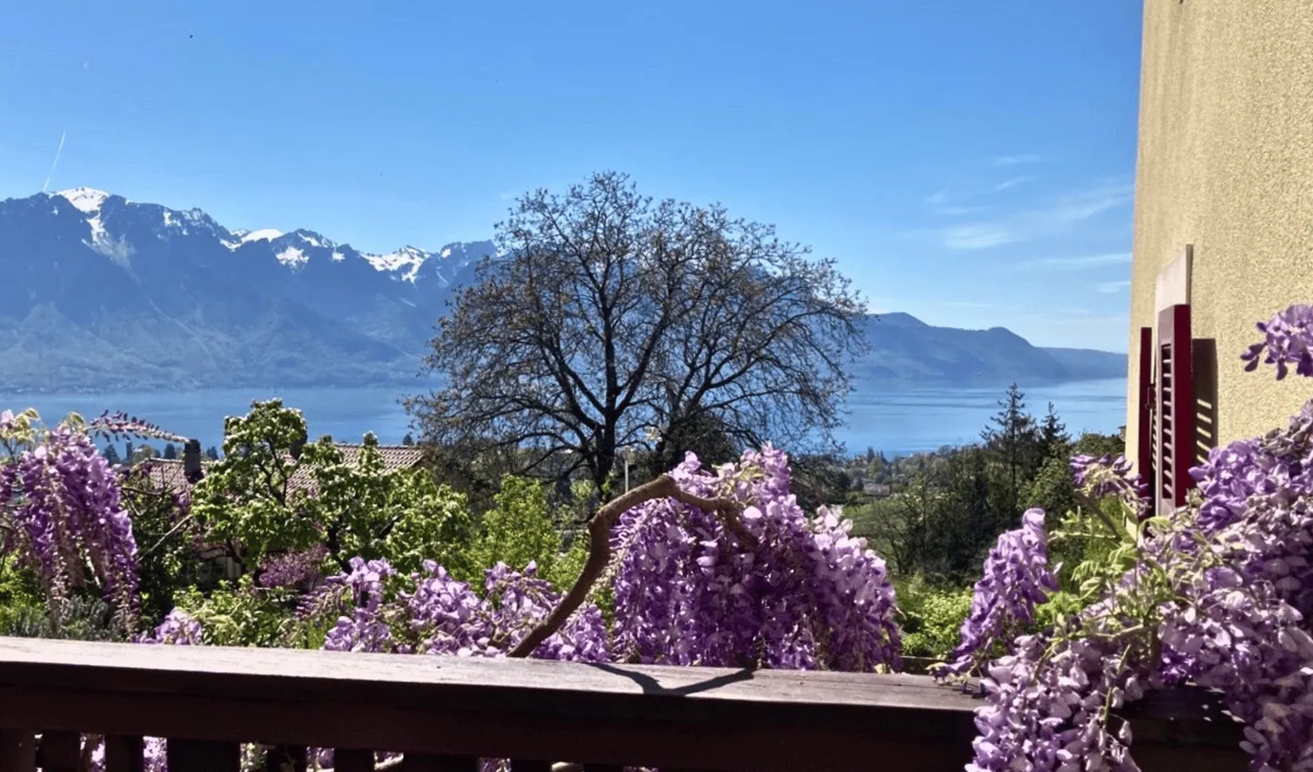 Charmante maison à Brent avec une vue imprenable sur le lac Léman - Photo 8 sur 10