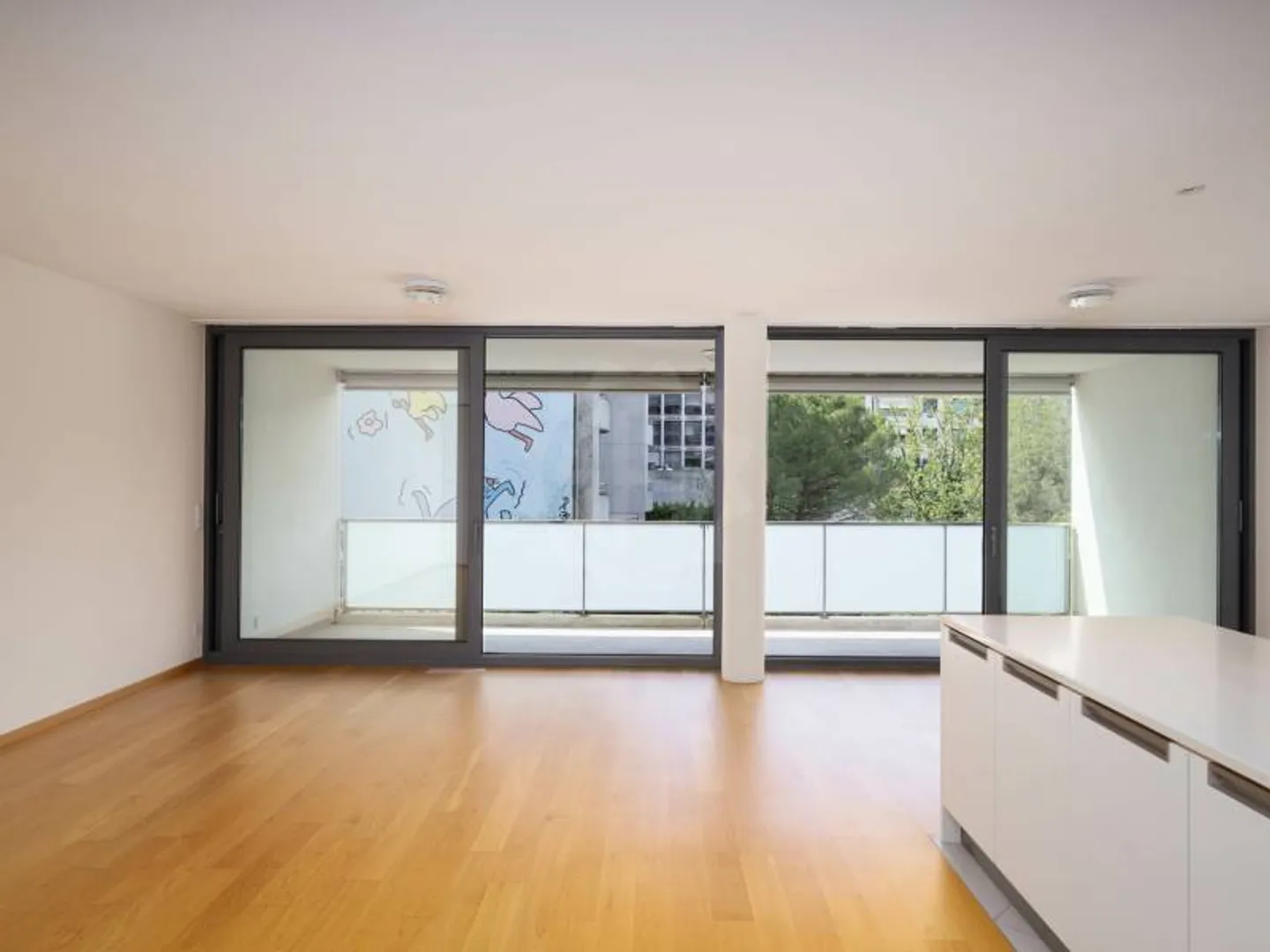 Appartement spacieux à Carouge - Photo 2 sur 12