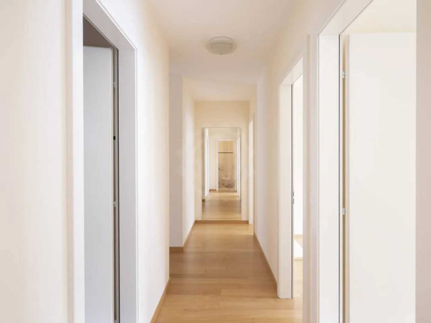 Appartement spacieux à Carouge - Photo 9 sur 12