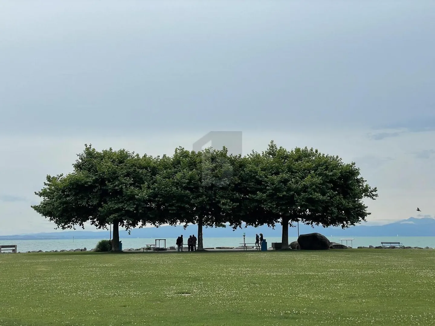 Wohnung mieten - Foto 5 von 6