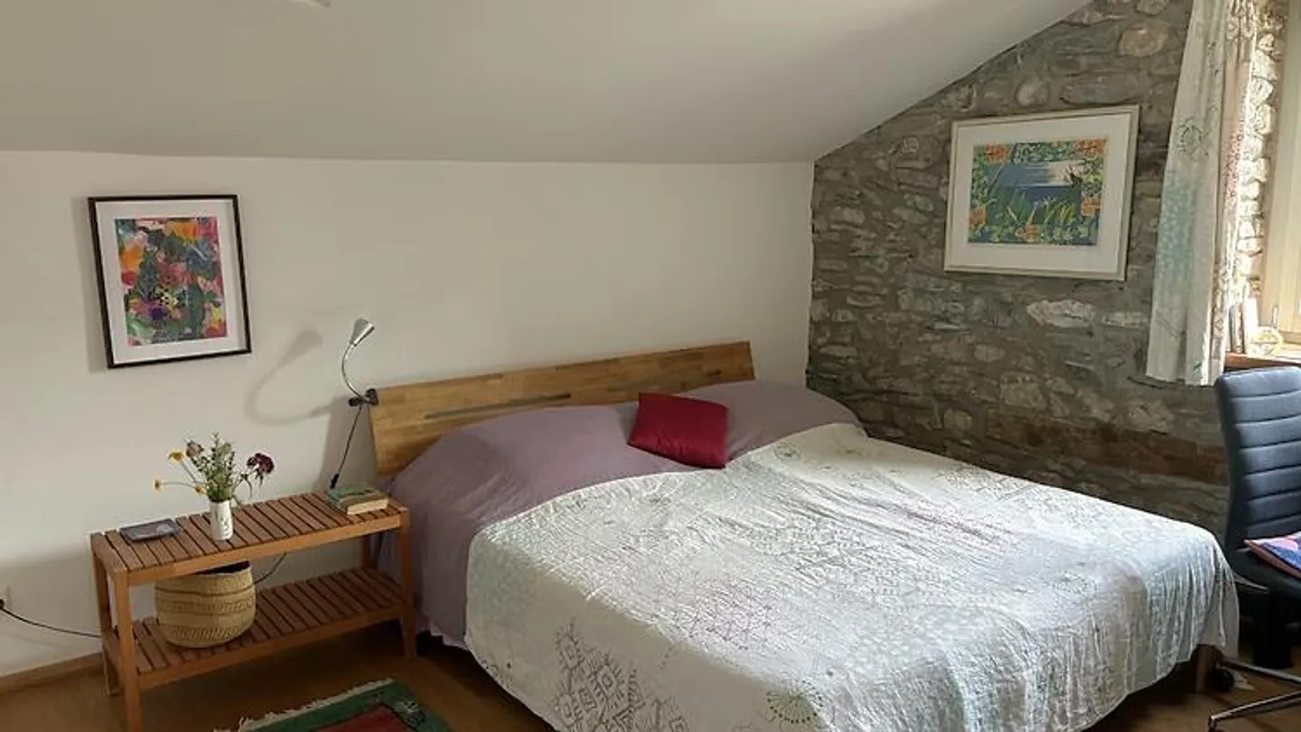 3½ ROOM LOFT IN ZIZERS (GR), FURNISHED, TEMPORARY - Photo 9 of 10