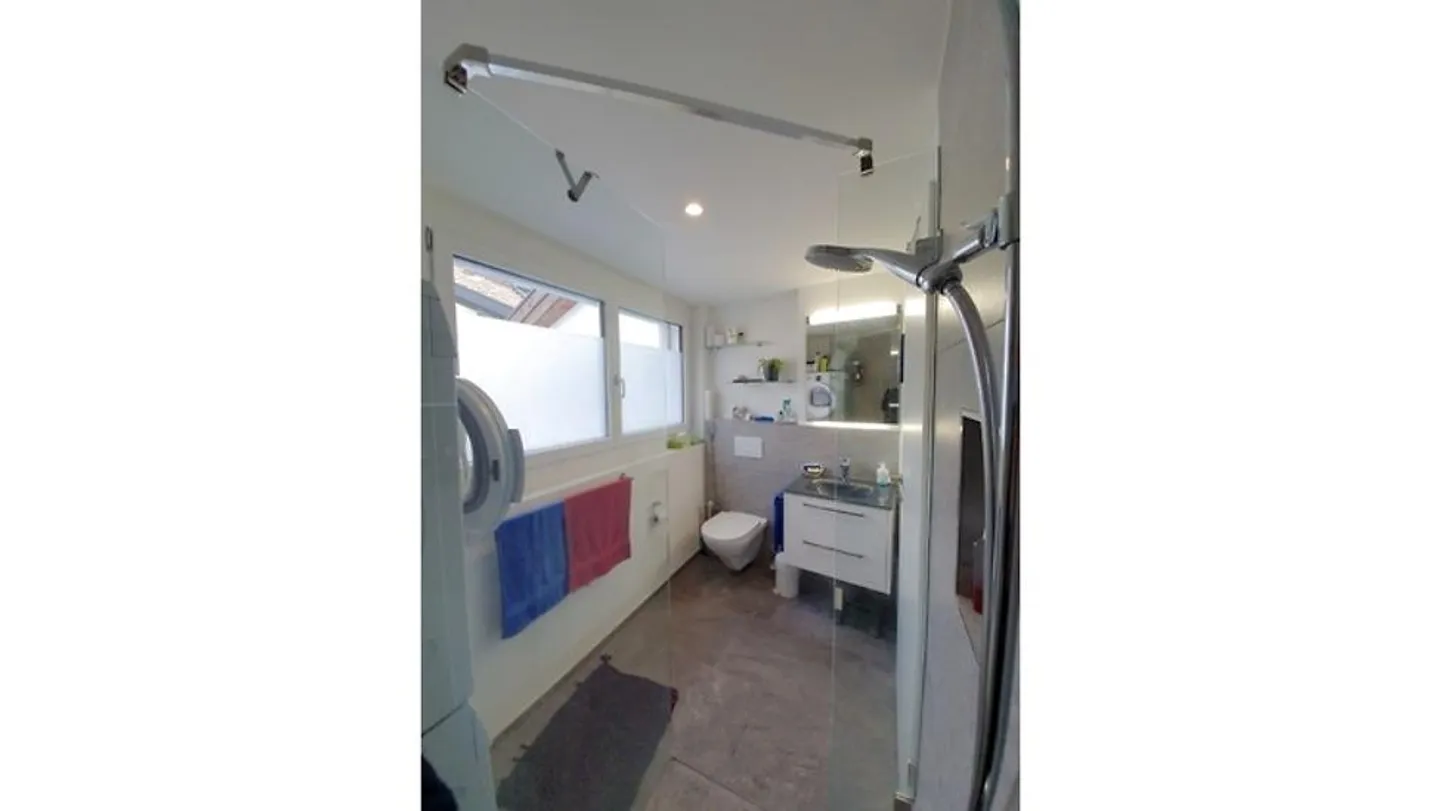 3½ ROOM LOFT IN ZIZERS (GR), FURNISHED, TEMPORARY - Photo 6 of 10