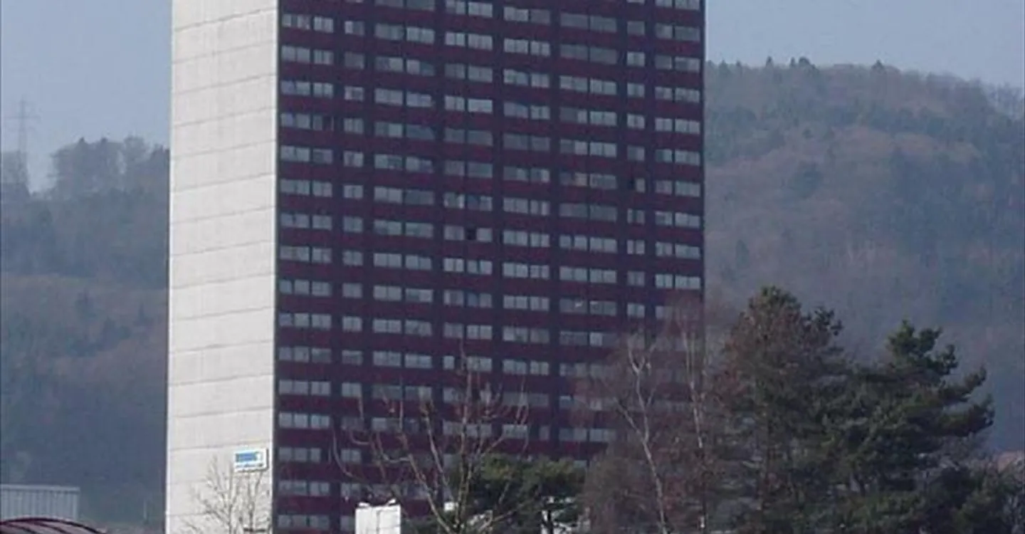 Gewerbefläche im Zentrum von Spreitenbach - Foto 7 von 7
