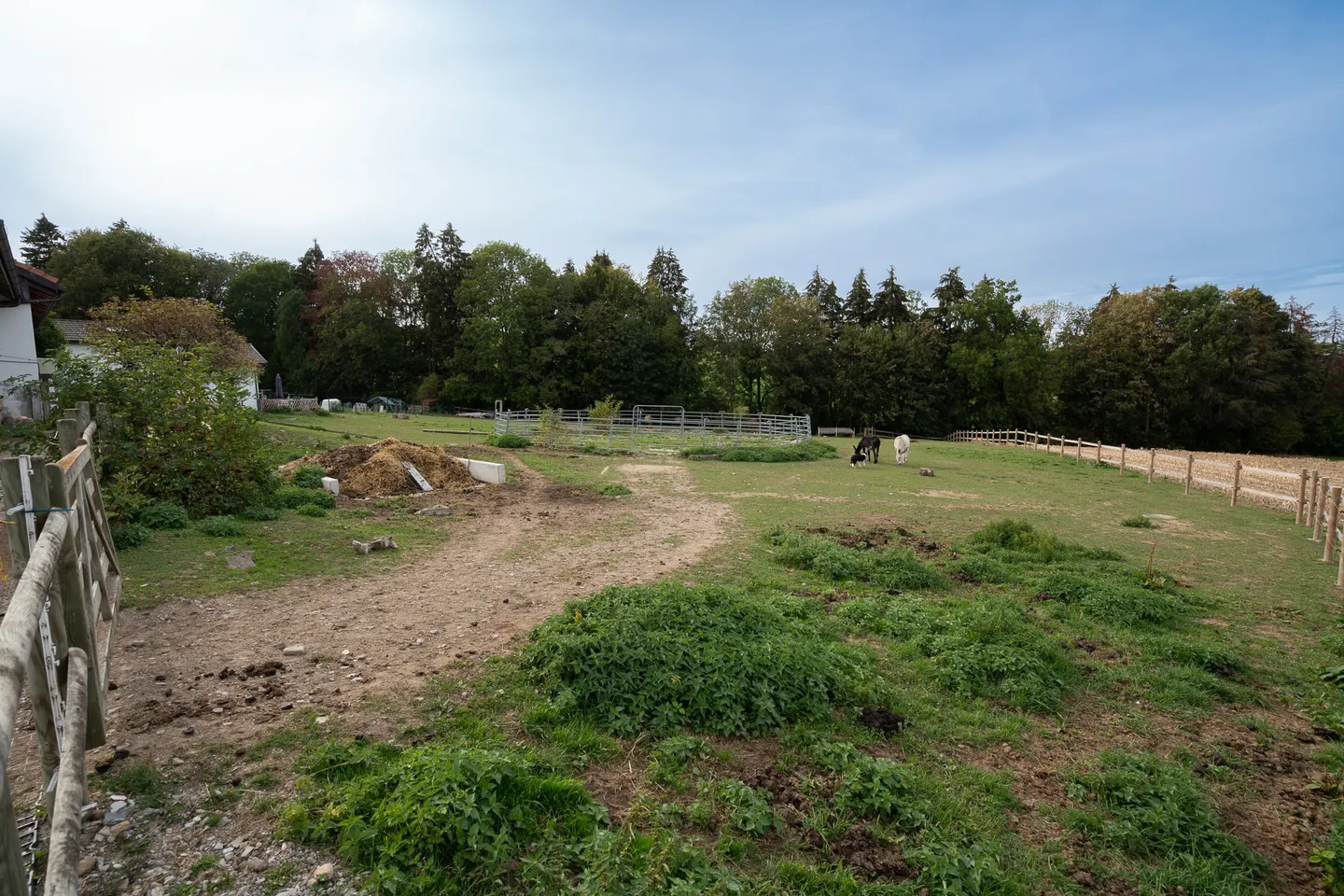 Farm for sale - Photo 6 of 13