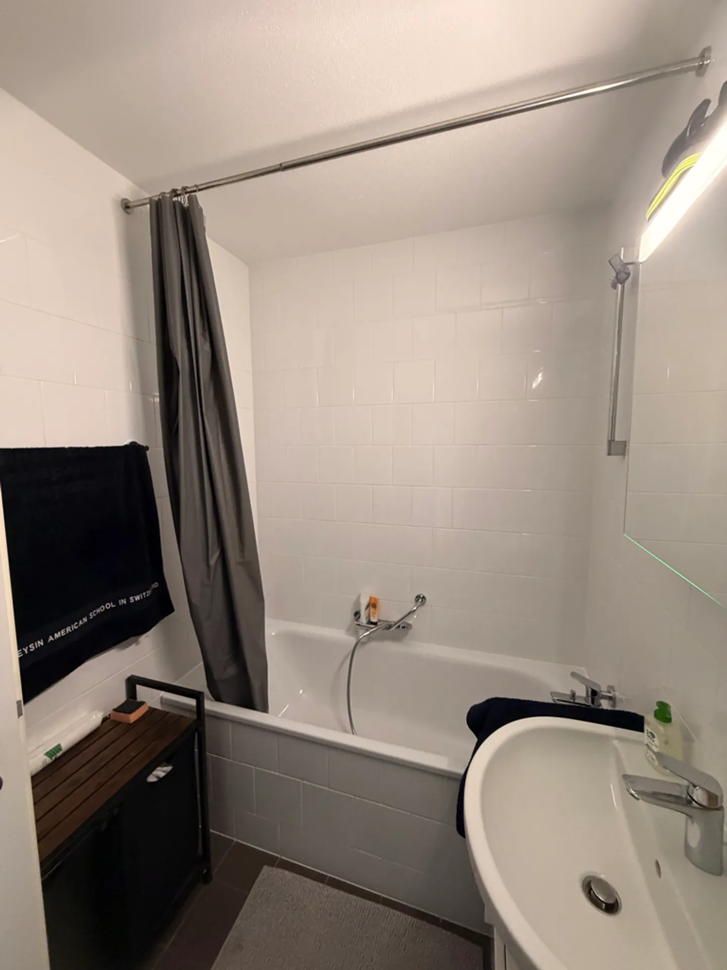 1.5 Room Apartment - Photo 4 of 4