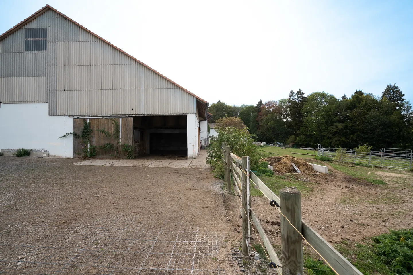 Farm for sale - Photo 5 of 13
