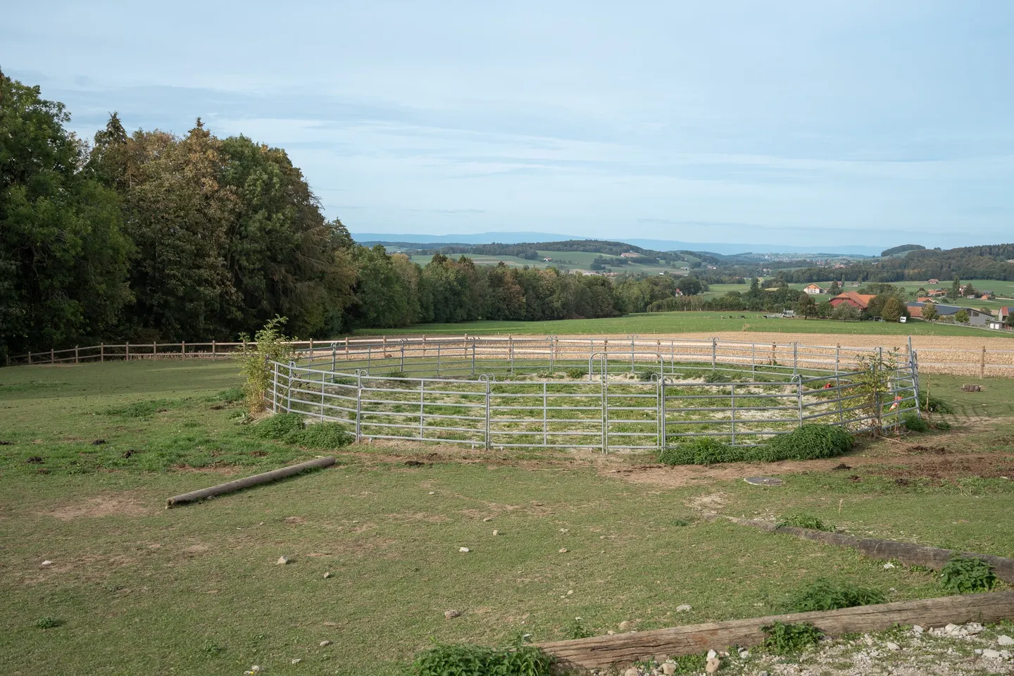 Farm for sale - Photo 9 of 13