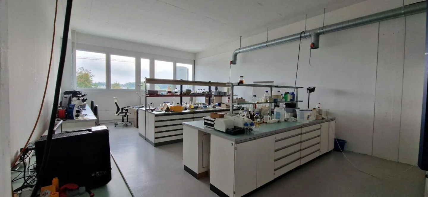 "Funktionale Gewerbeflächen für Produktion/Lager/Büro" - Foto 3 von 8