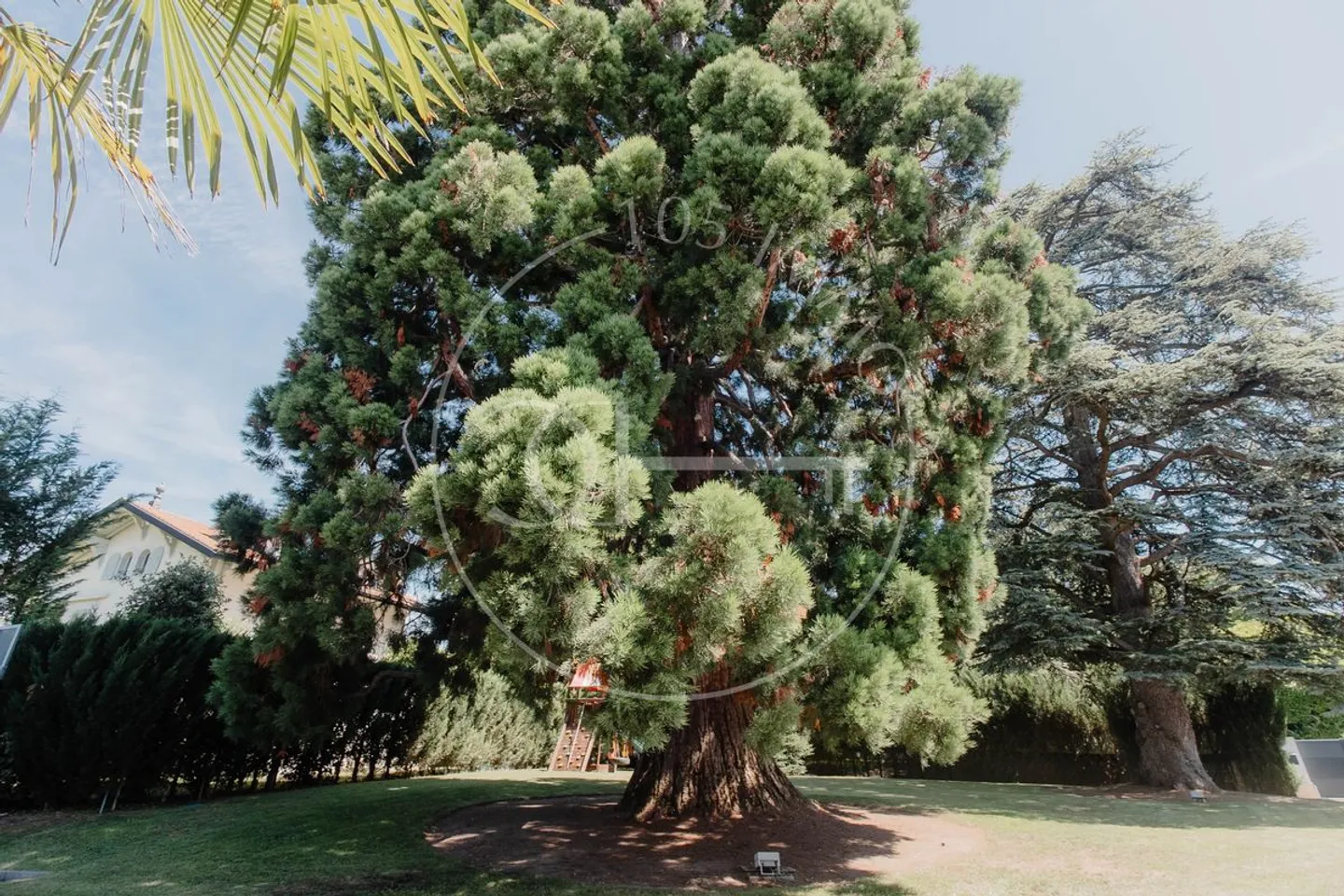 Einfamilienhaus kaufen - Foto 2 von 6