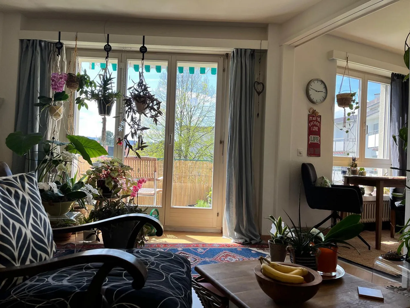 Bright furnished 2-room apartment from 1.7.26 to 30.6.27. - Photo 1 of 8