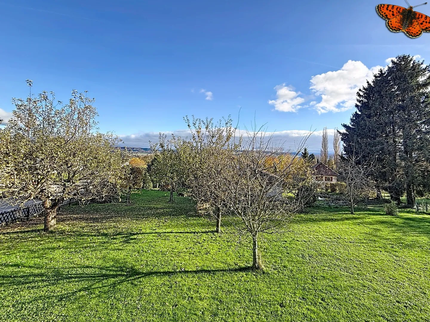 Schönes Haus! - Foto 25 von 27