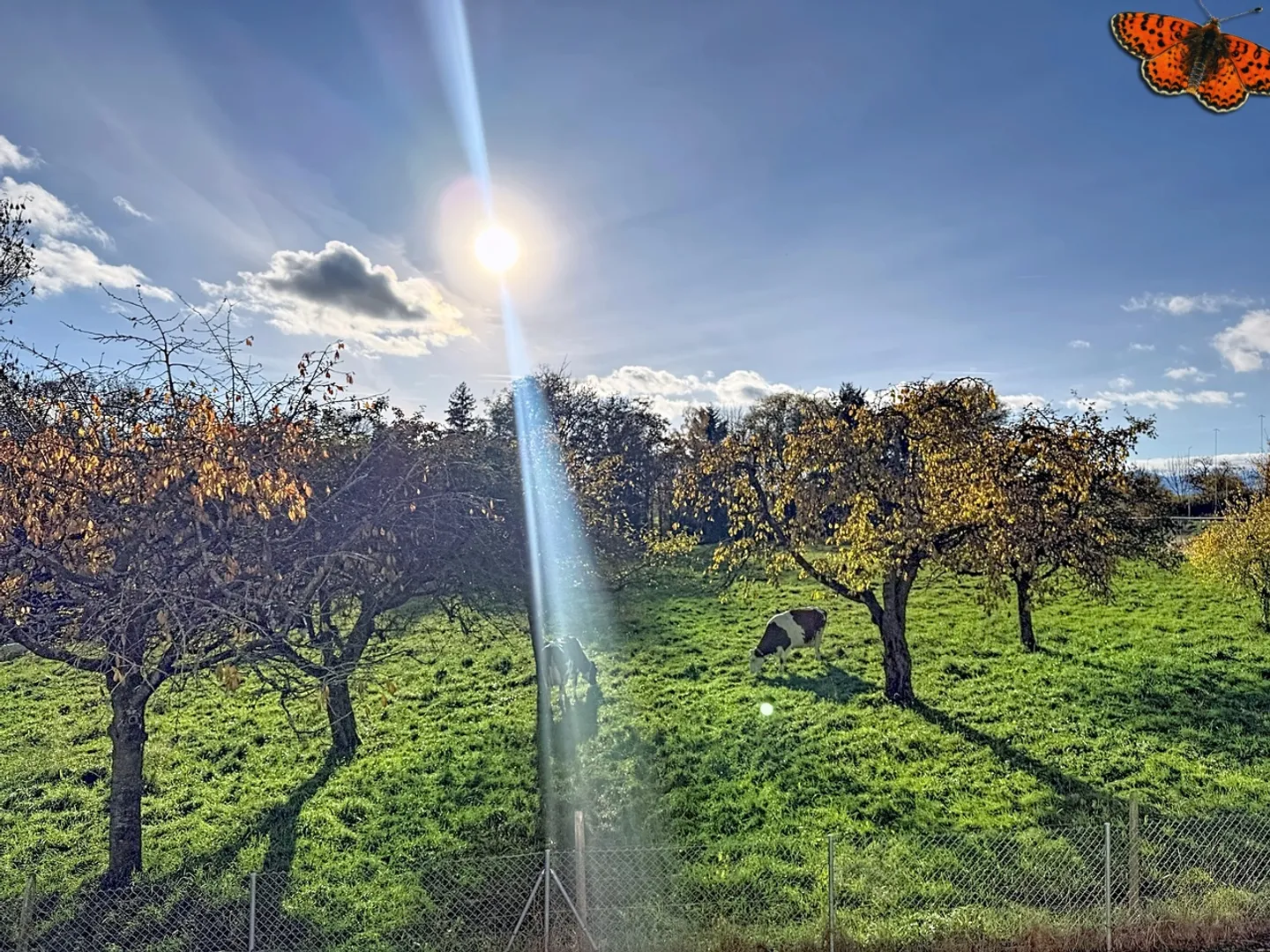 Schönes Haus! - Foto 26 von 27