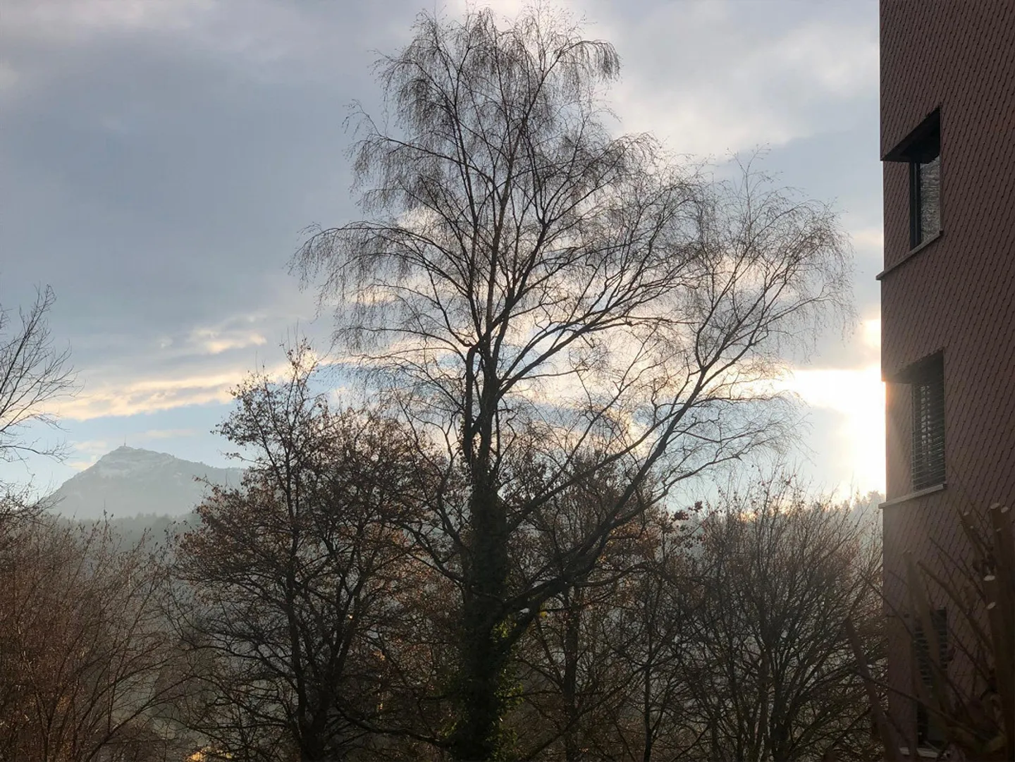 Apartment - Photo 1 of 11