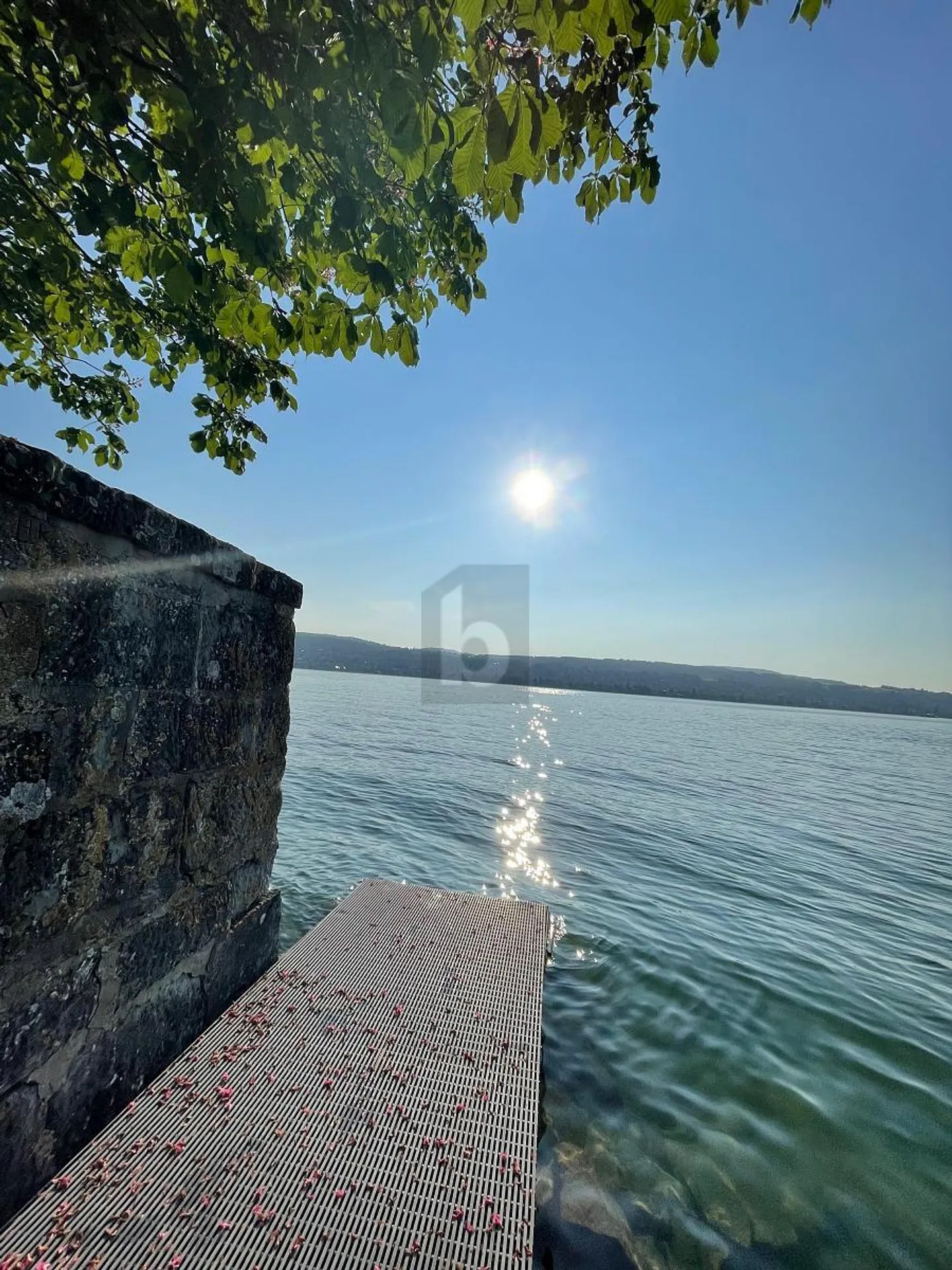 MÖBLIERT AM SEE MIT PRIVATEM BADEPLATZ - Foto 5 von 6