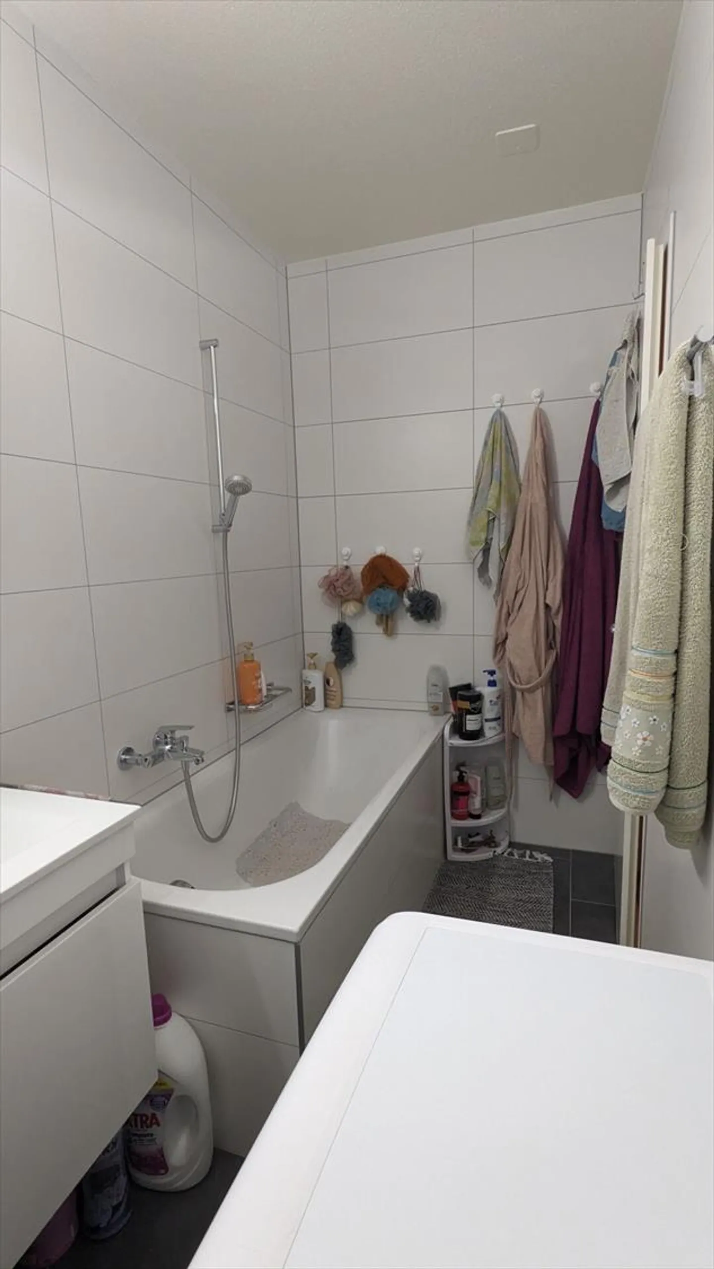 3.5-ROOM APARTMENT - Photo 8 of 12