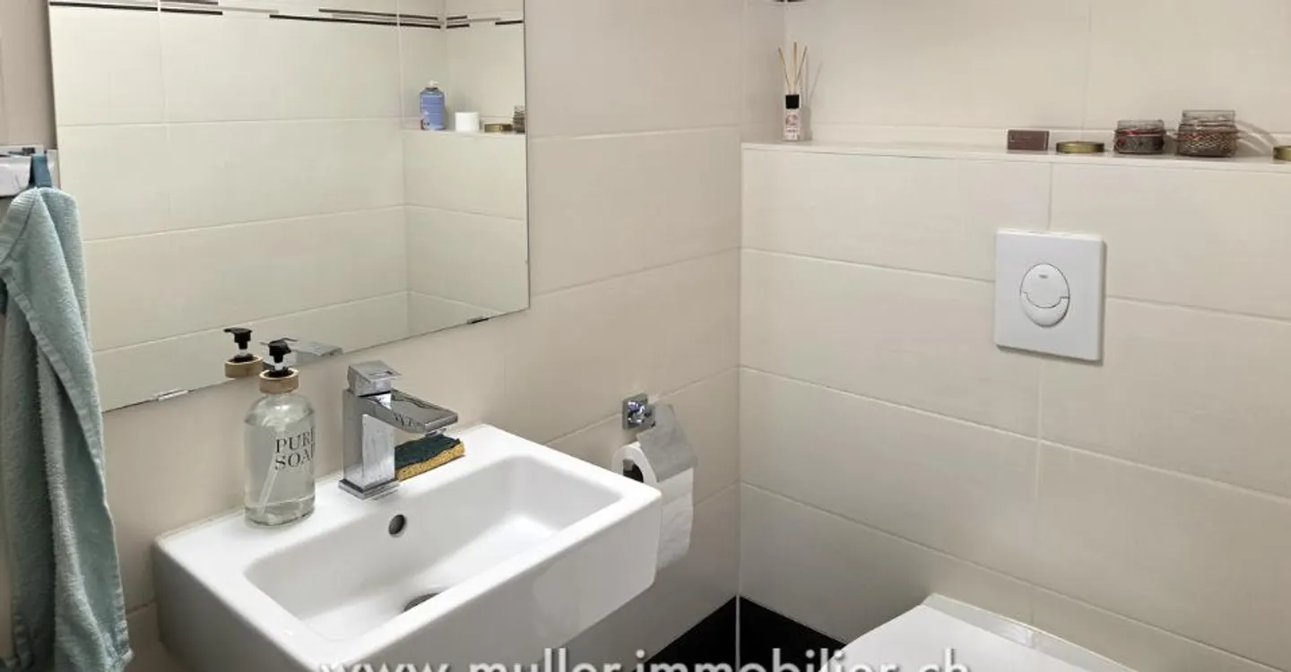 Superb property in Forel Lavaux - Photo 7 of 12