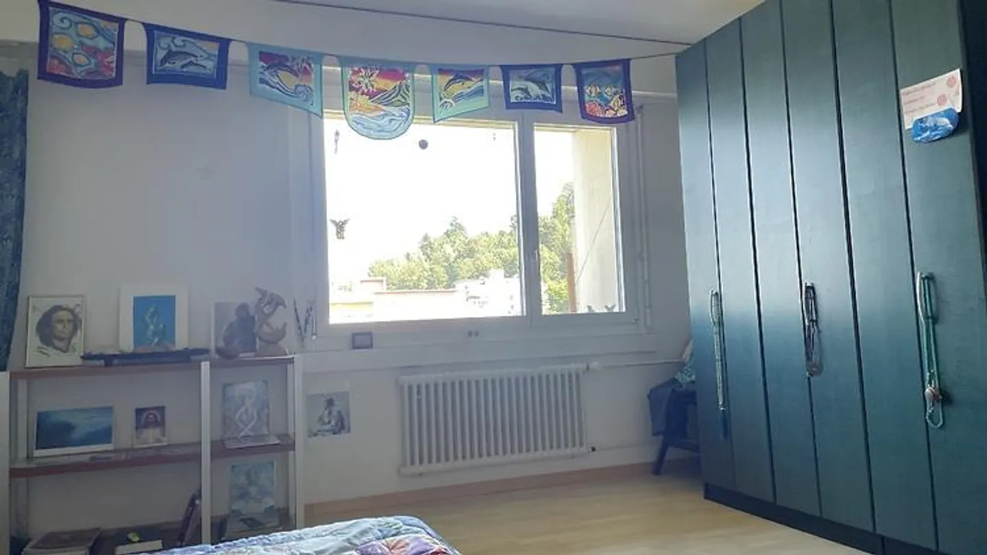 Charmante Möblierte Wohnung in Luzern - Foto 6 von 9