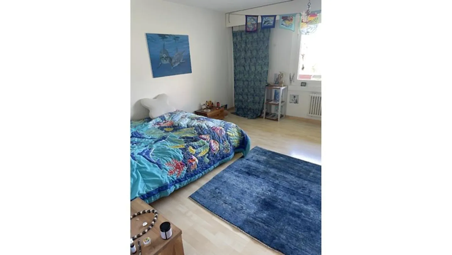 Charmante Möblierte Wohnung in Luzern - Foto 5 von 9