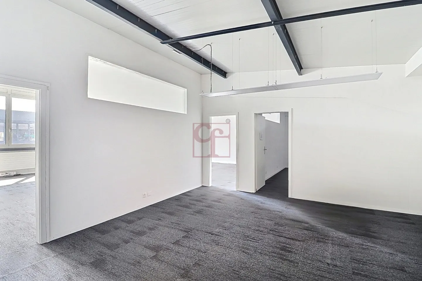 Espace commercial à Semsales - Photo 7 sur 9
