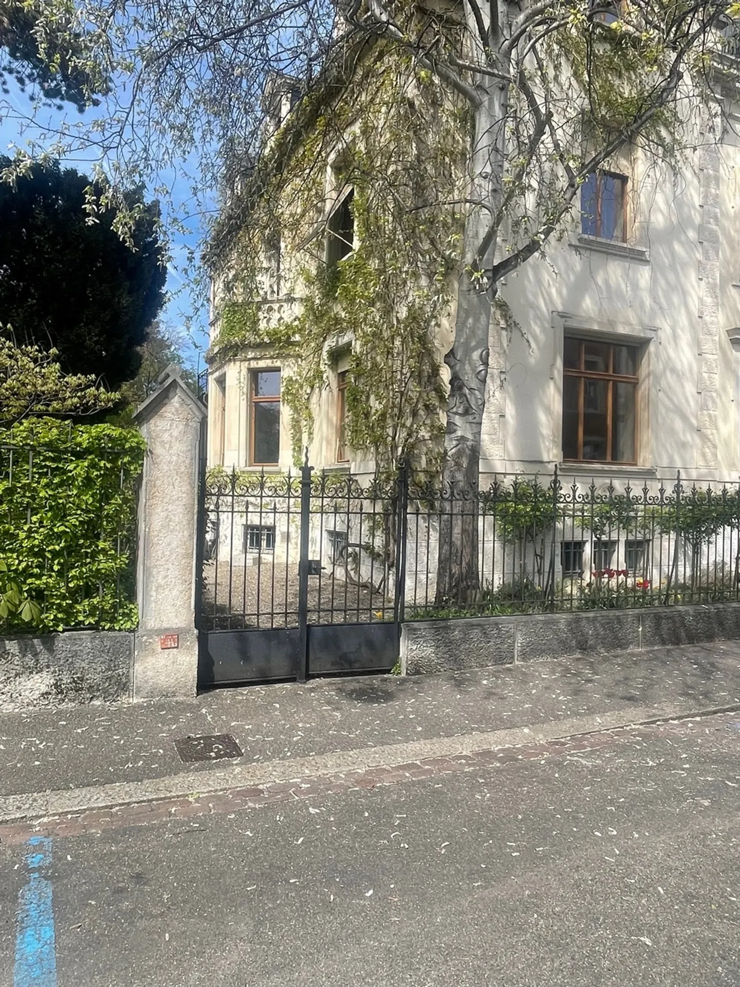 Flexibel unterteilbare Stadt-Villa im Gellert mit Lift! - Foto 3 von 14