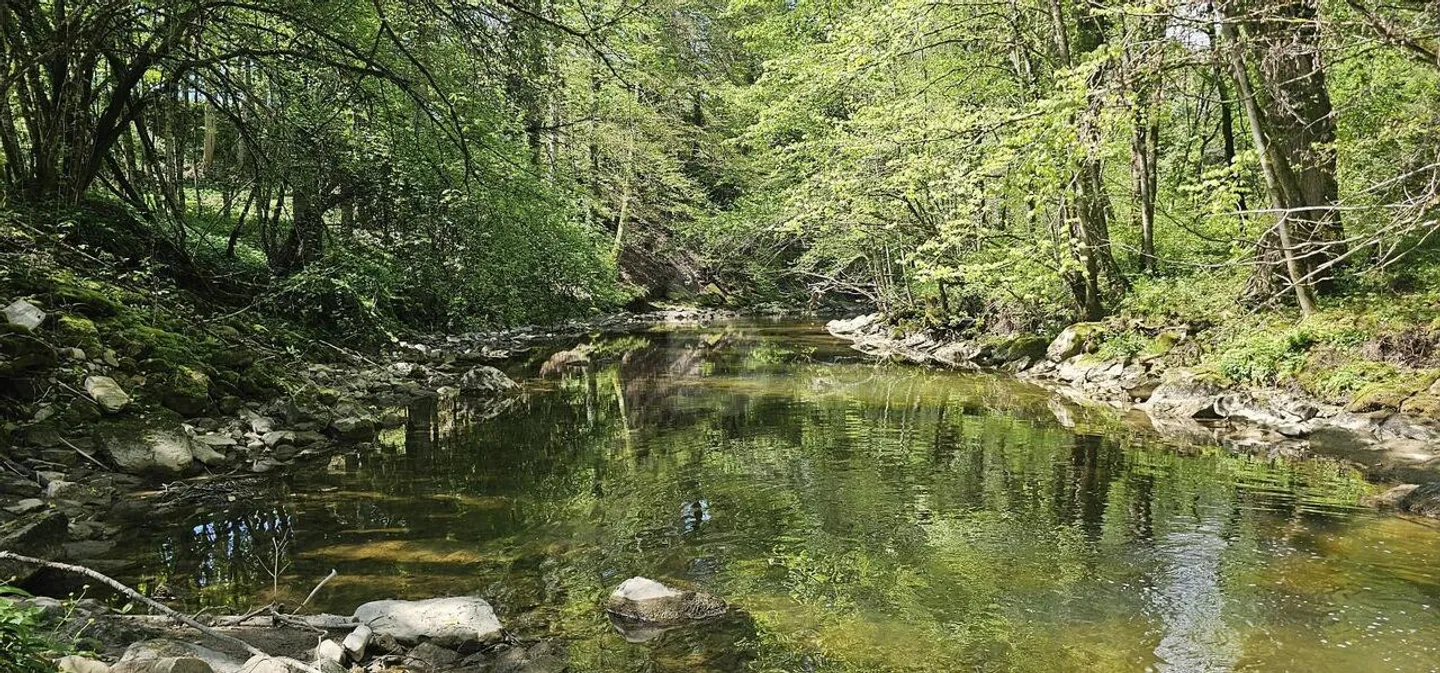 GERÄUMIG, NAHE DEM WALD, ABSOLUTE RUHE - Foto 2 von 6