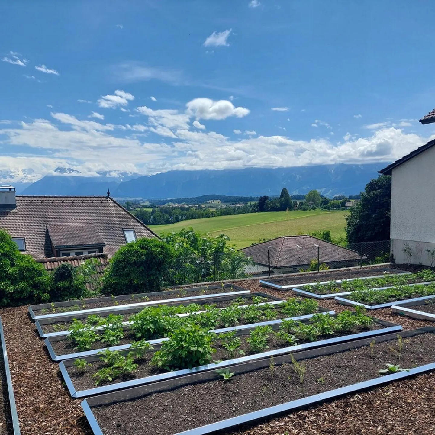 Great attic apartment in Gerzensee with mountain view - Photo 10 of 12