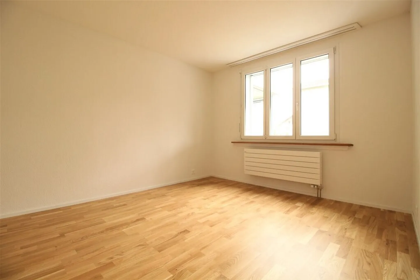 Modern apartment in a quiet location - Photo 3 of 8