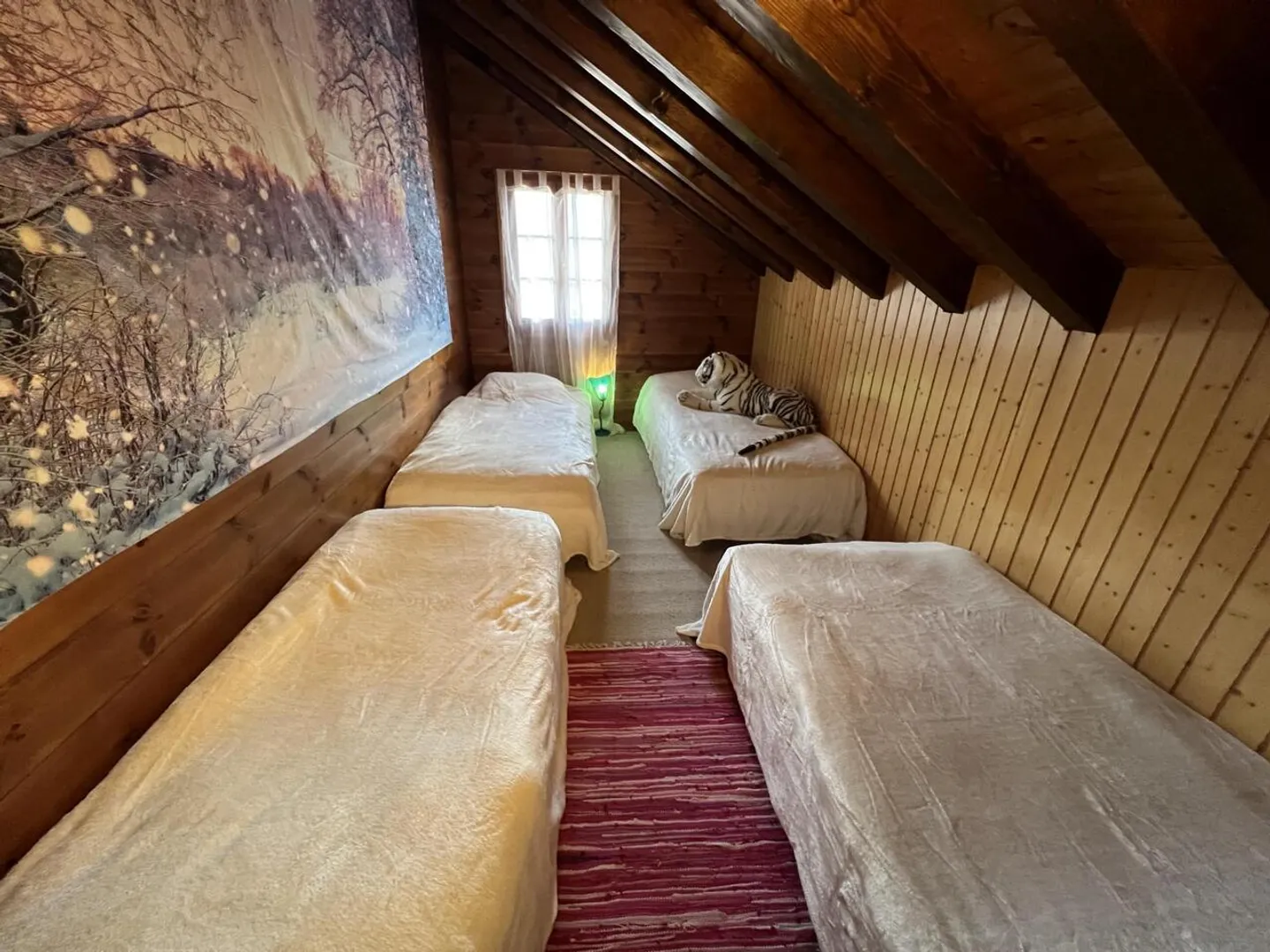 Large chalet in occupied life annuity without rent limited to 10 years - Unobstructed view - Photo 11 of 19