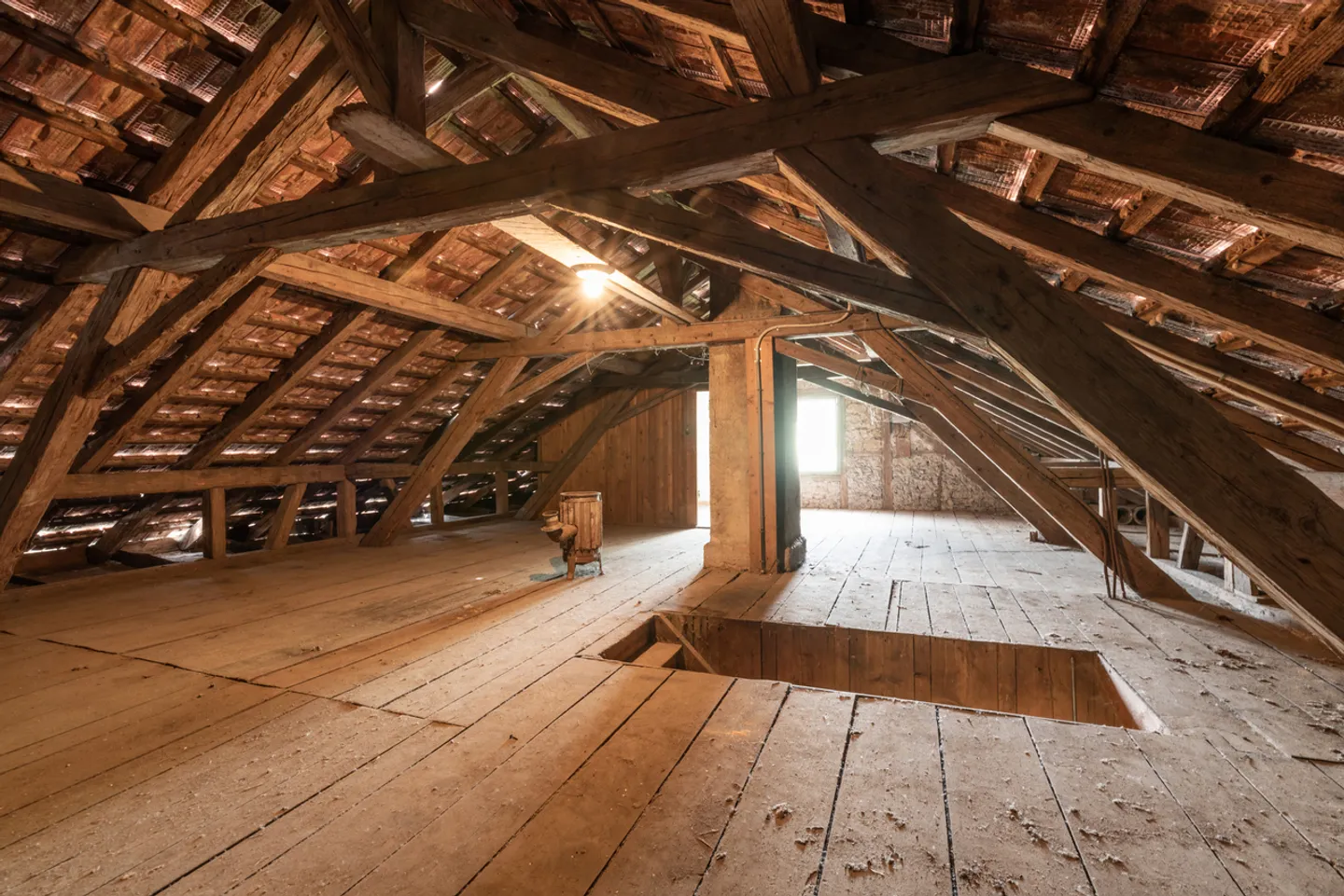 Historic Residential and Commercial Property - Photo 2 of 14
