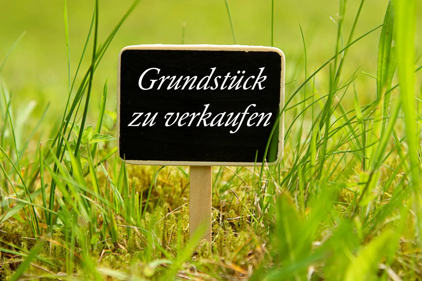 Constructible plot for sale - Photo 1 of 1