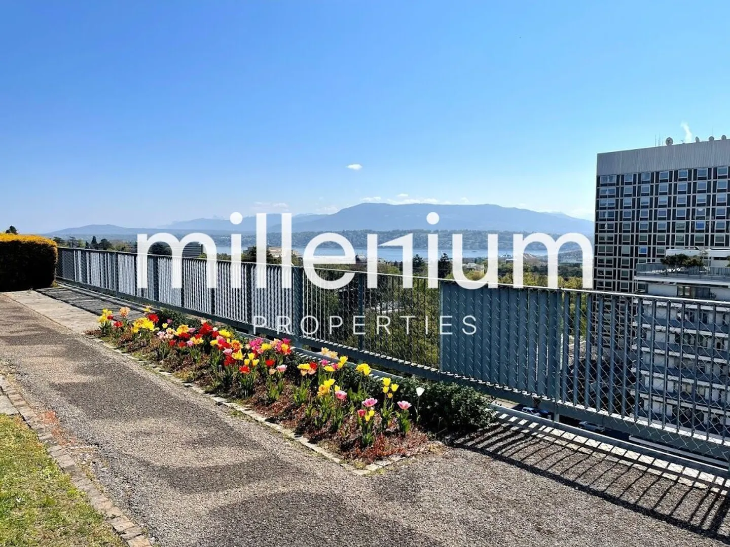 High-end apartment near the UN - Photo 16 of 18