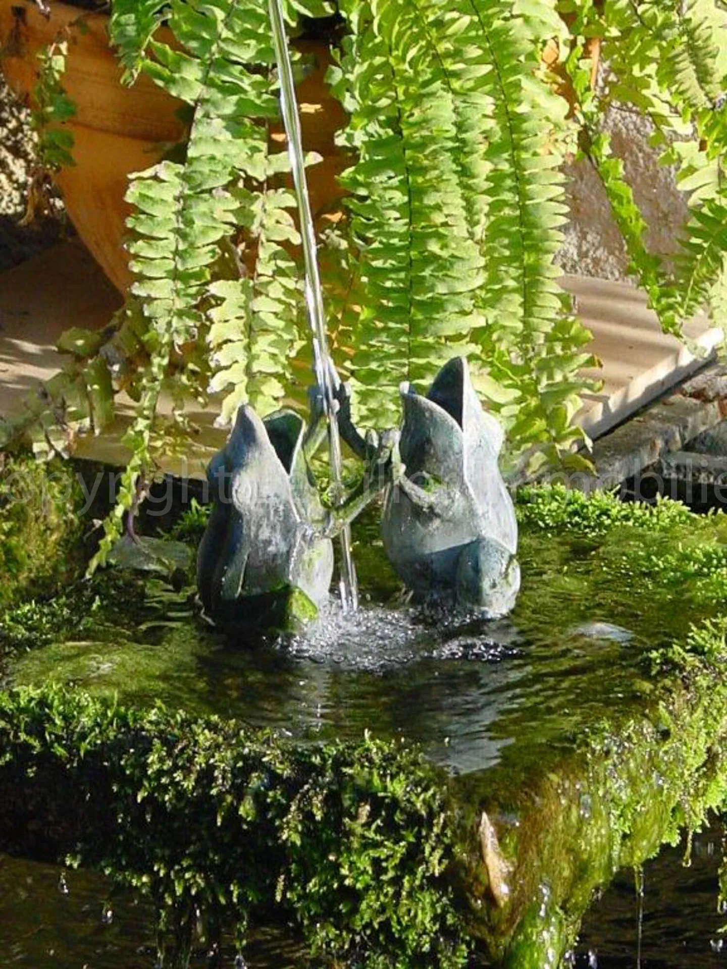 Charmante Maison de Village - Photo 1 sur 1