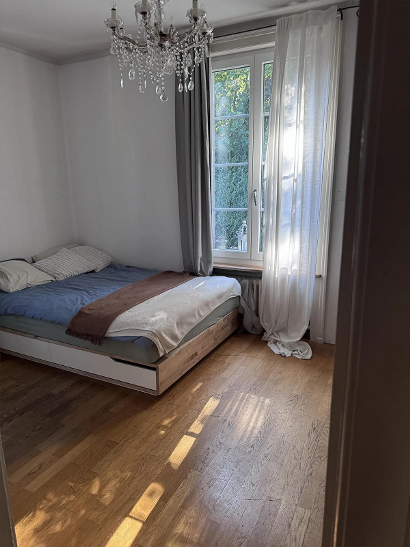 Charmantes Zimmer in Bern - Foto 1 von 7