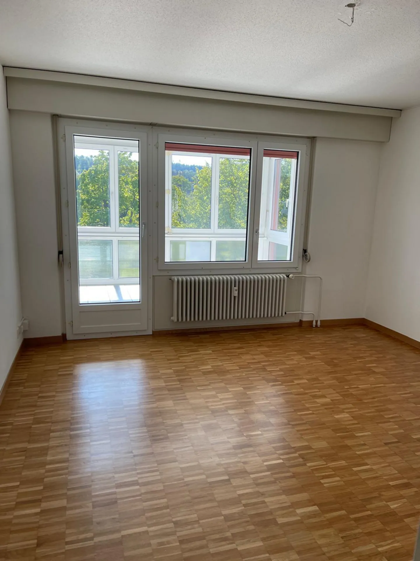 Appartement 5.5 pièces - Photo 4 sur 11