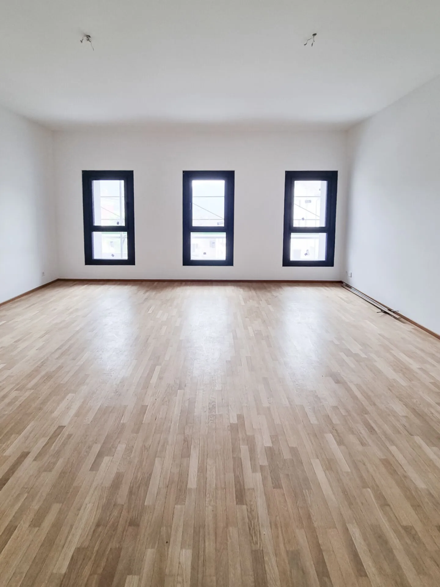 Modern 1.5-Room Apartment - Photo 1 of 5