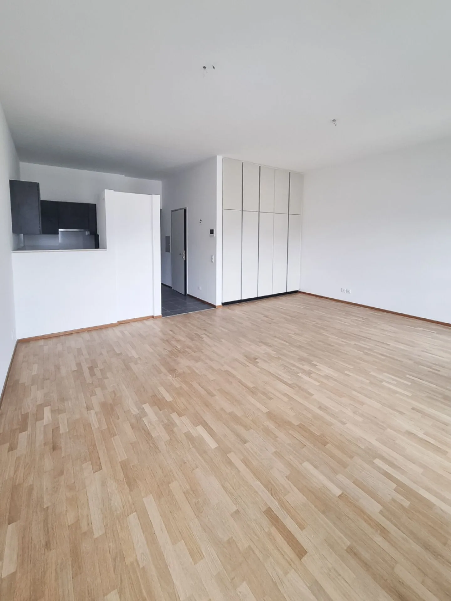 Modern 1.5-Room Apartment - Photo 2 of 5