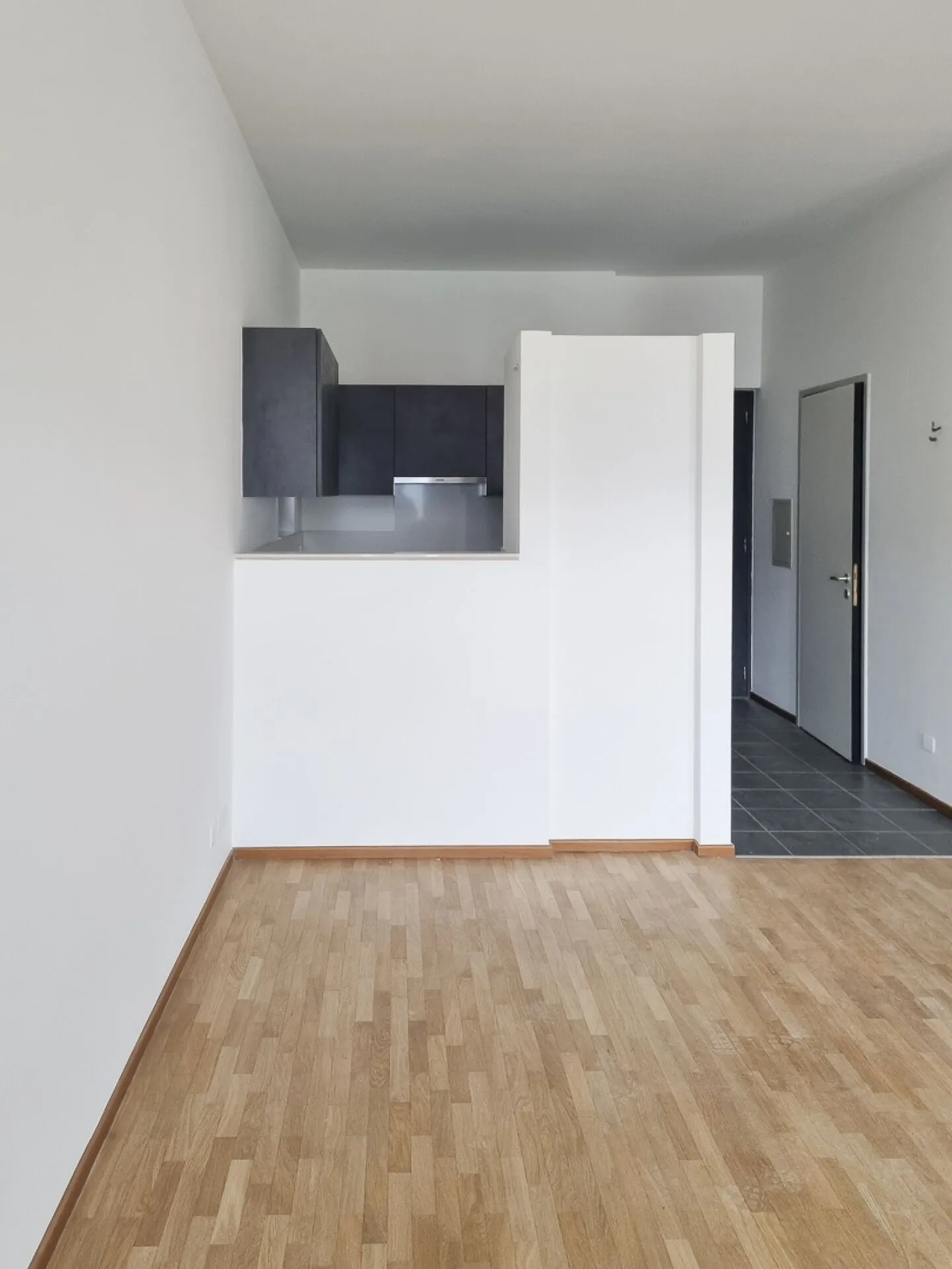 Modern 1.5-Room Apartment - Photo 3 of 5