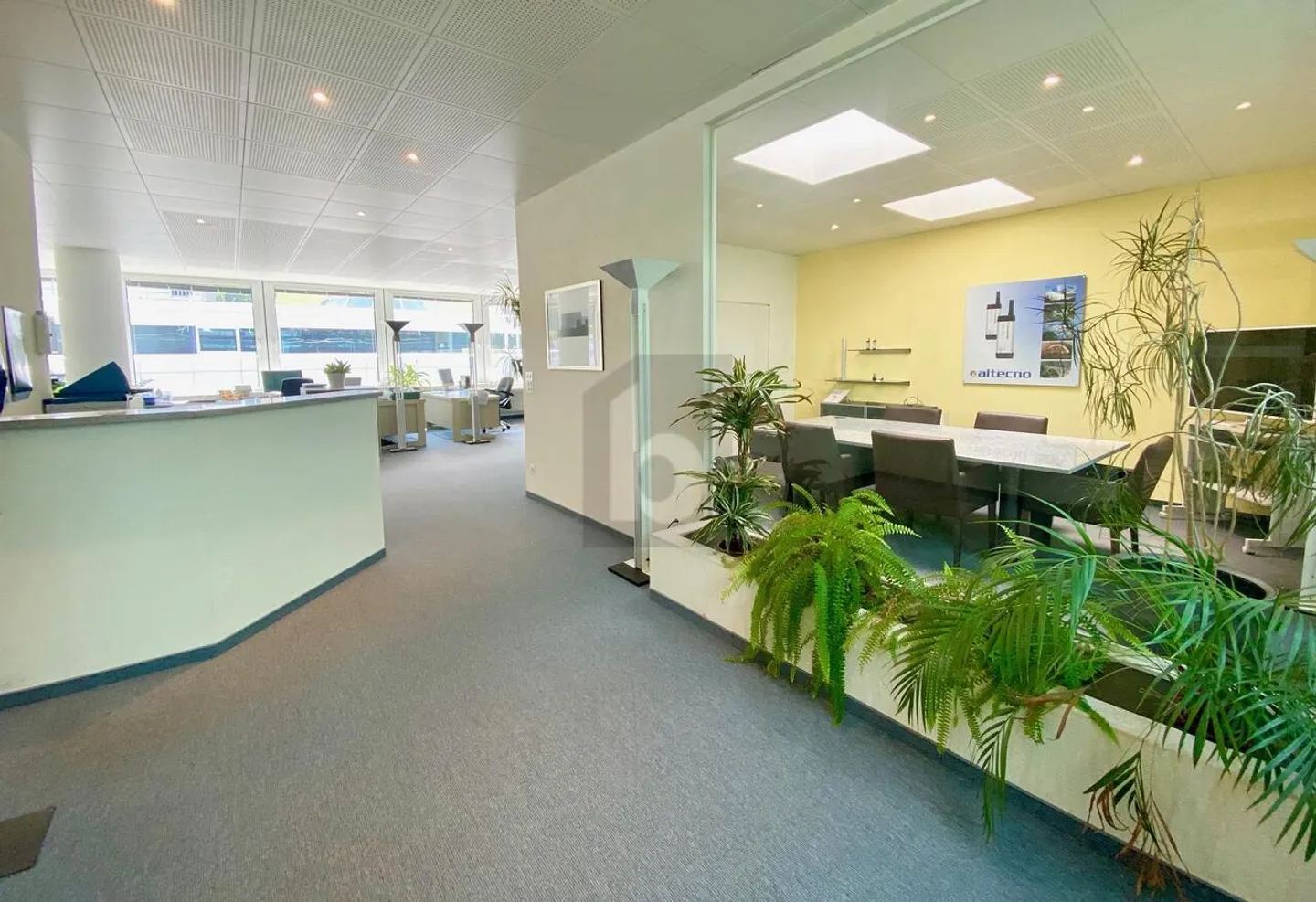 ESPACE UTILISABLE POLYVALENT - Photo 2 sur 6