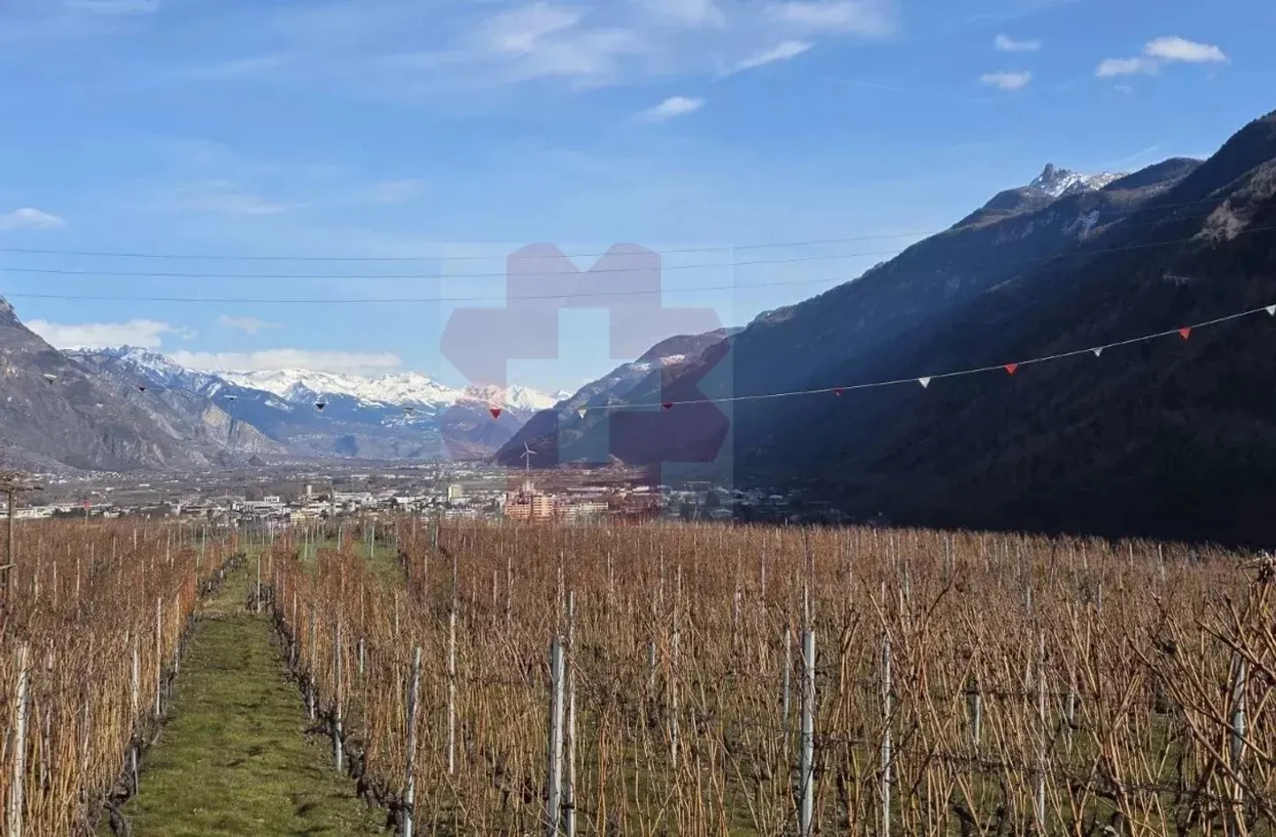 Very rare Mazot from the Cerisier Plan period - Foto 10 von 10