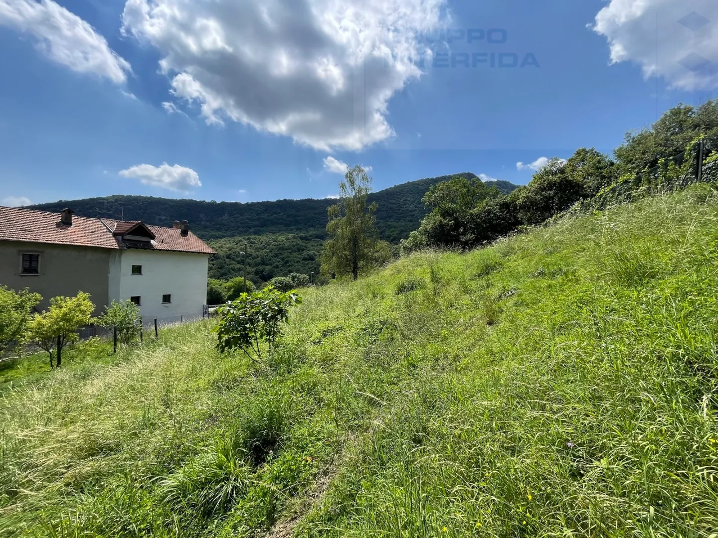 BEAUTIFUL BUILDING LAND IN MERIDE - Photo 1 of 4