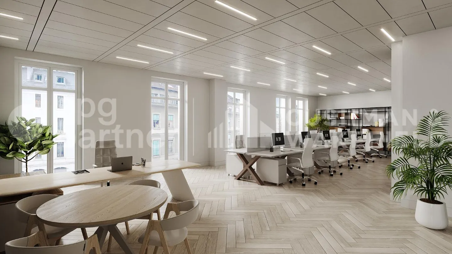 Bureau Prestigieux à Genève - Photo 3 sur 11