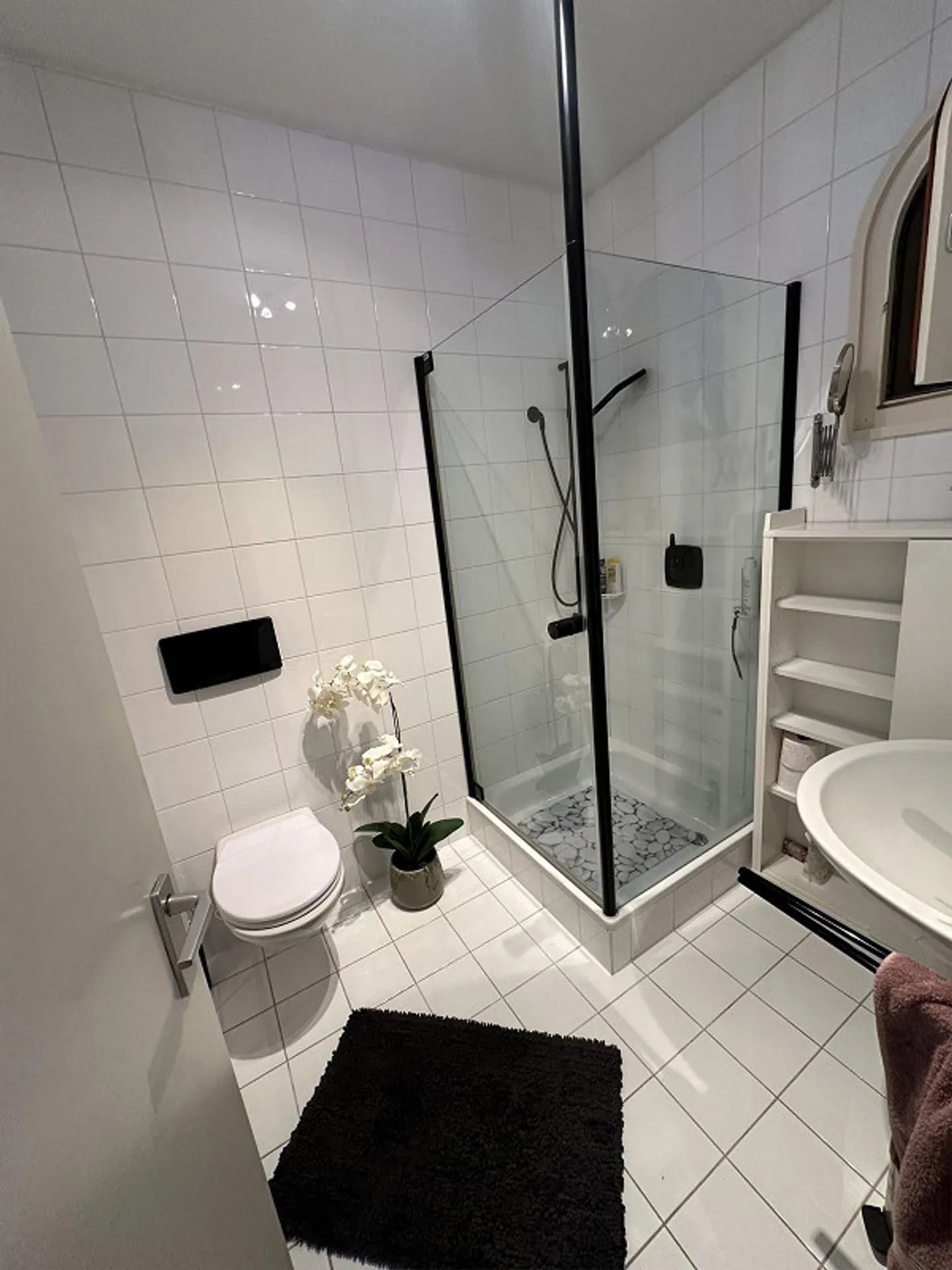 Appartement 2.5 Z avec vue imprenable sur le lac avec résidence secondaire - Photo 10 sur 14