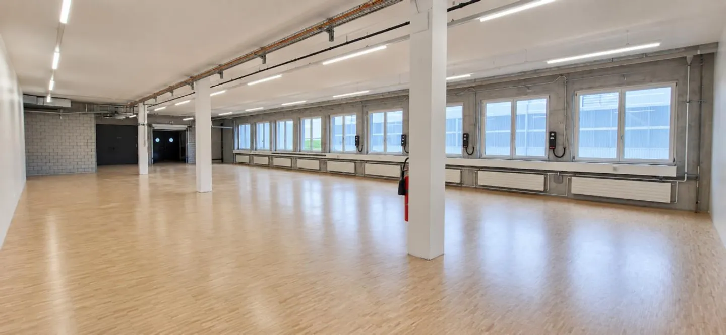Intero piano in affitto - 1'060 m² di spazio commerciale - Foto 7 di 10