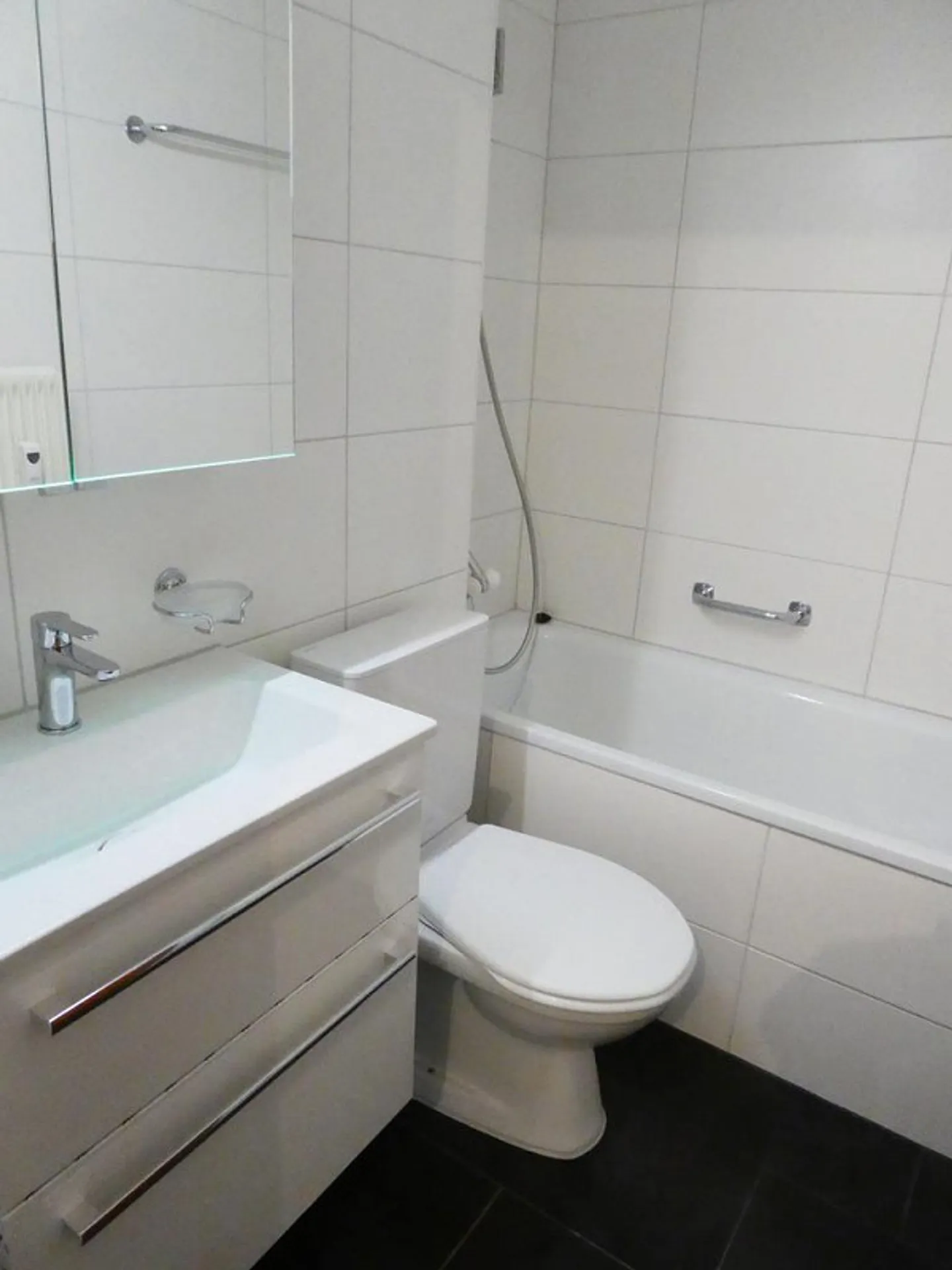 2-room apartment near the Rhine for rent - Photo 8 of 11