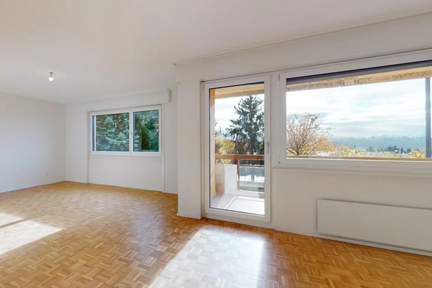 Luminoso appartamento 4.5 stanze completamente ristrutturato con camino e balcone - Foto 4 di 8