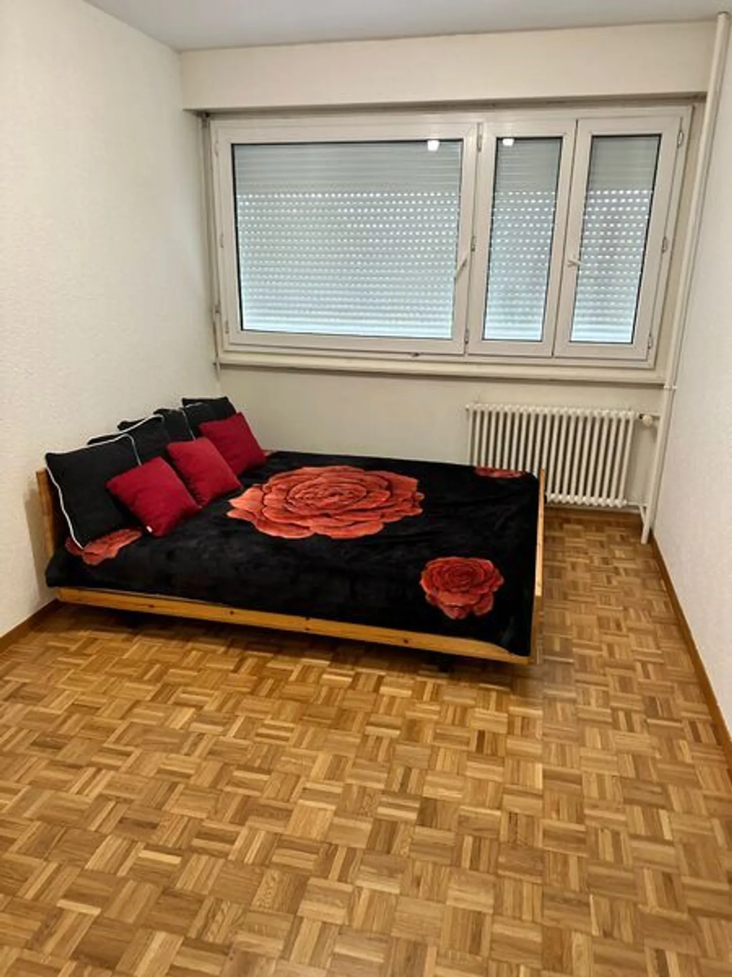 3-ROOM APARTMENT IN GRAND-LANCY (GE), FURNISHED - Photo 2 of 8